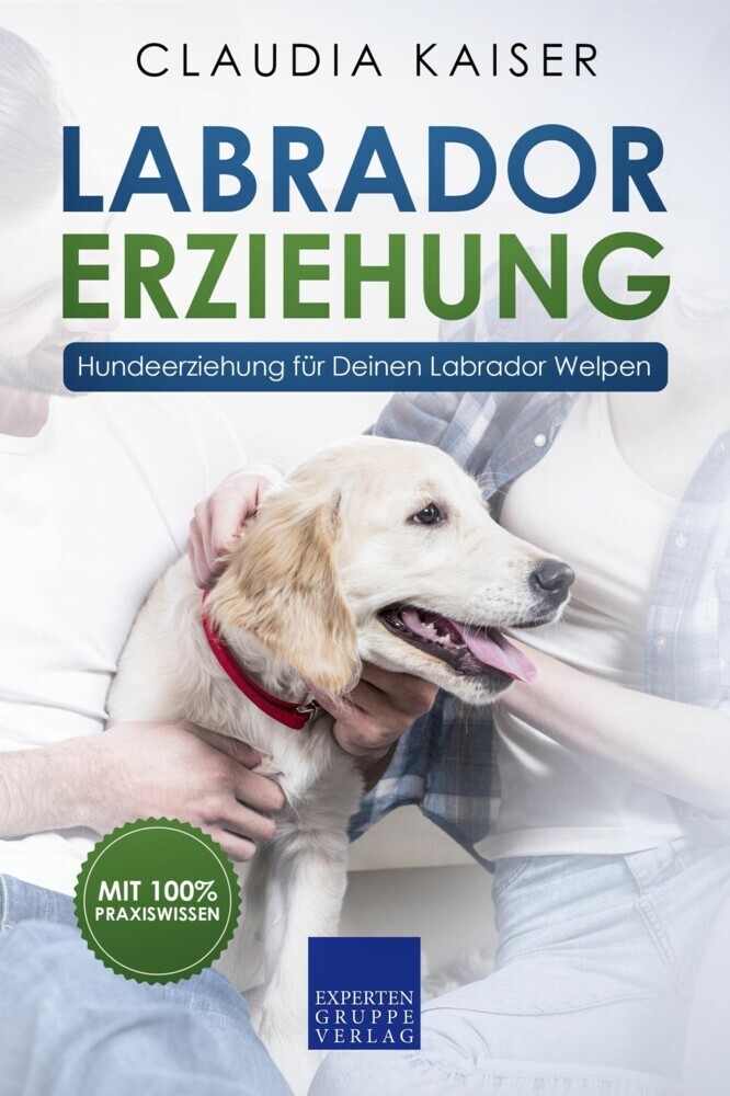 Labrador Erziehung main product photo