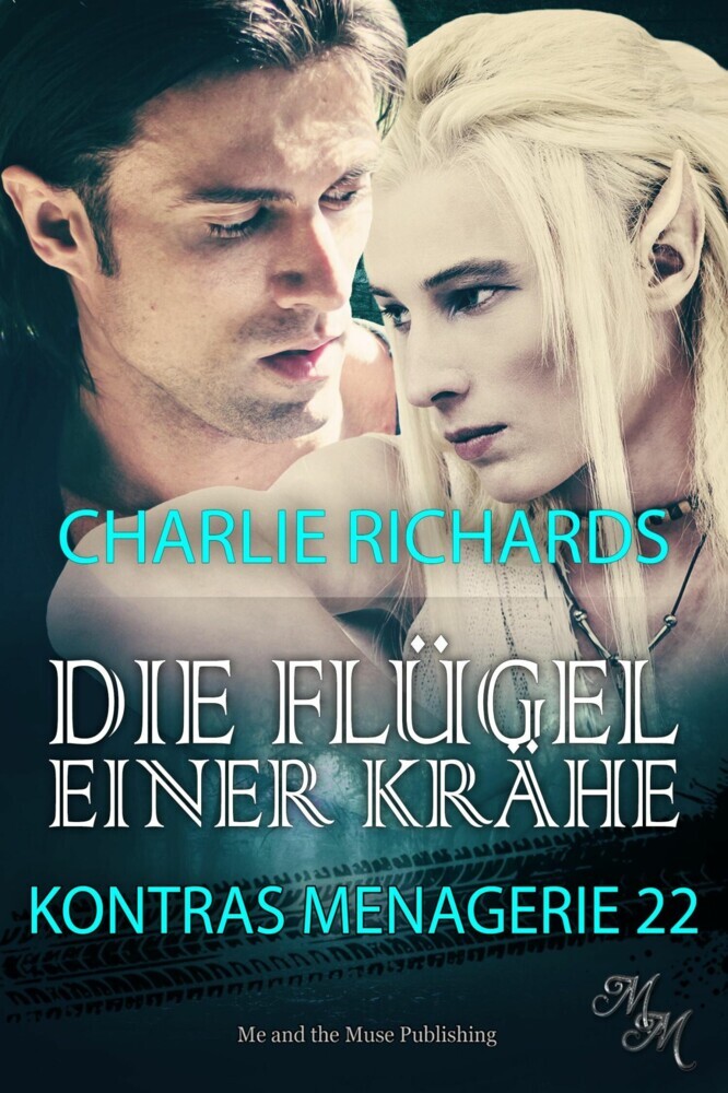 Die Flügel einer Krähe main product photo