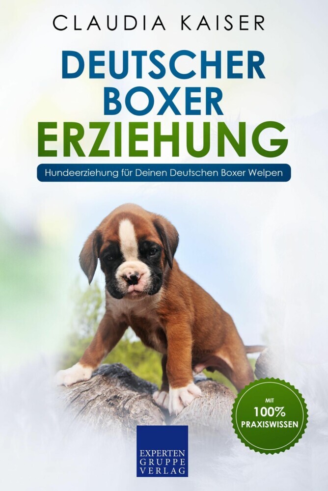 Deutscher Boxer Erziehung main product photo