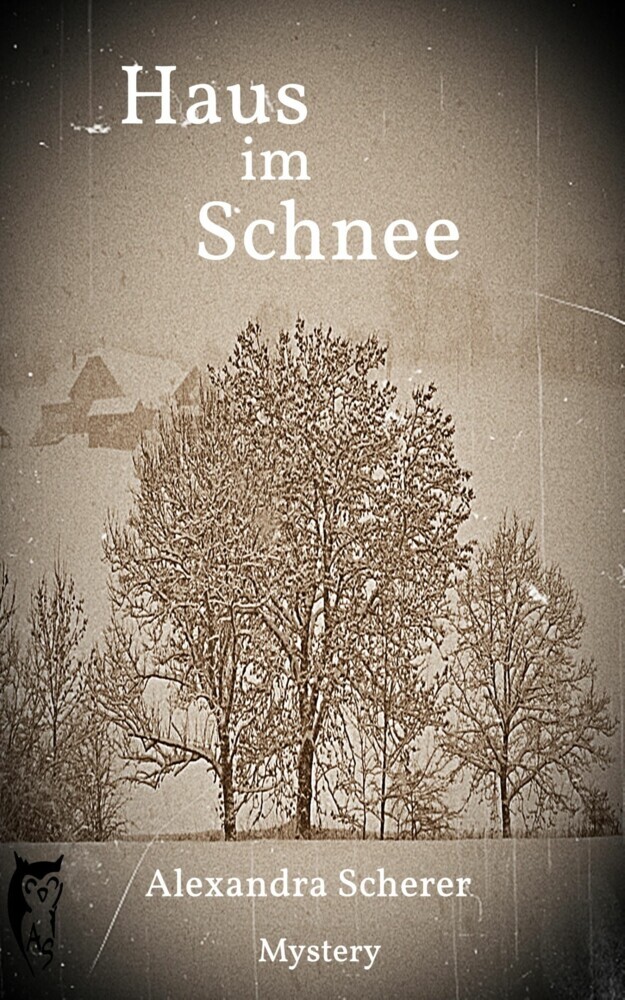 Haus im Schnee main product photo