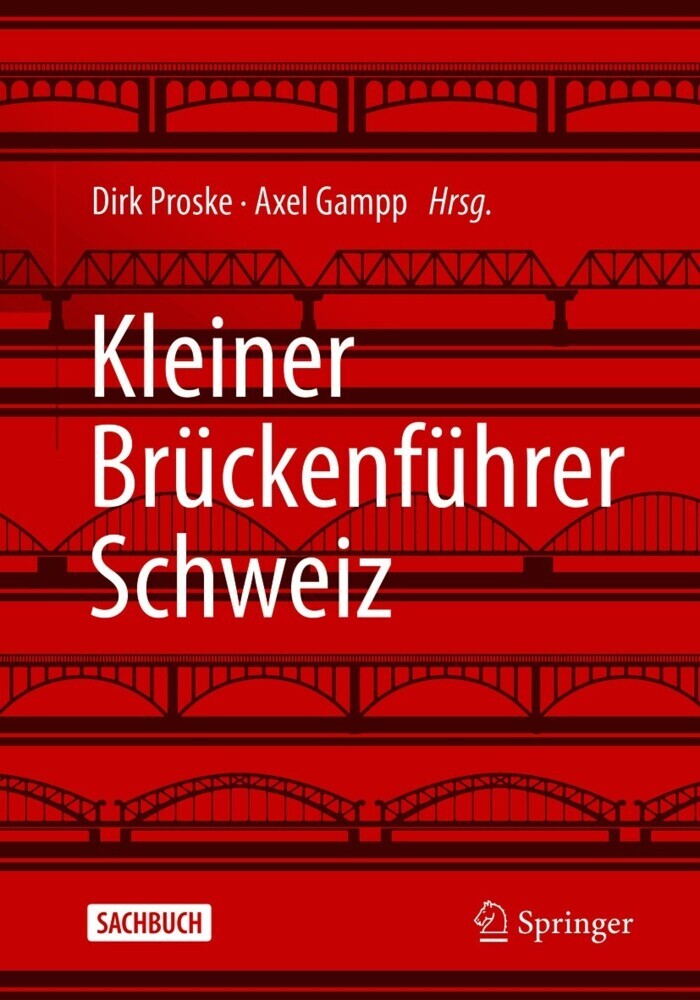 Kleiner Brückenführer Schweiz main product photo
