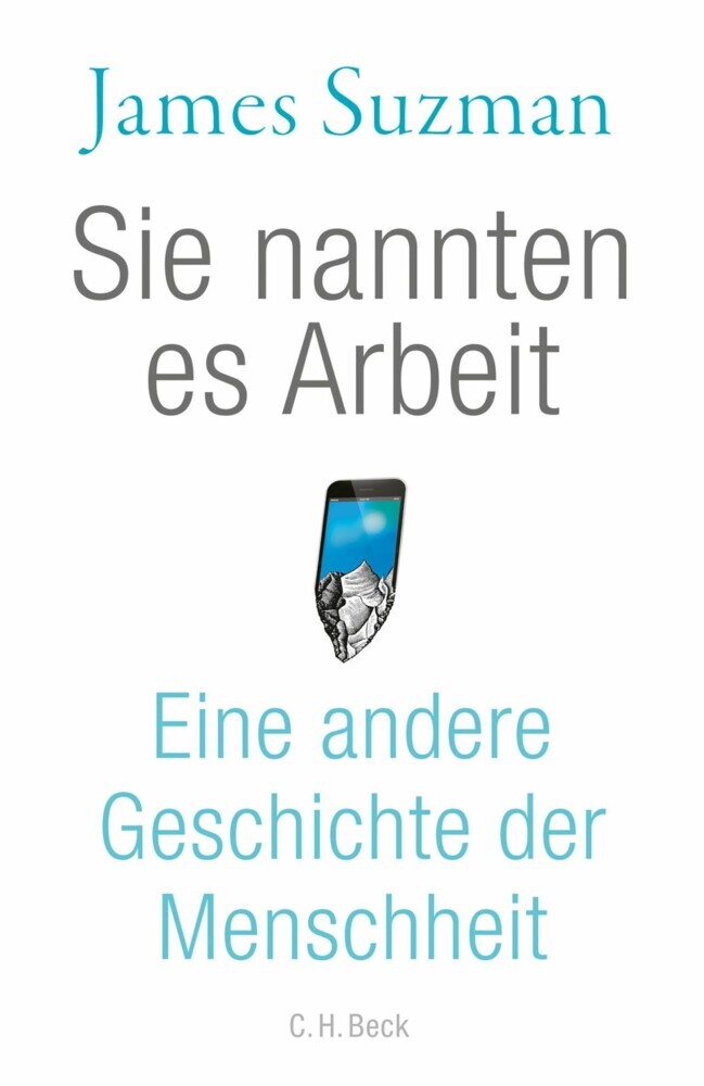 Sie nannten es Arbeit main product photo