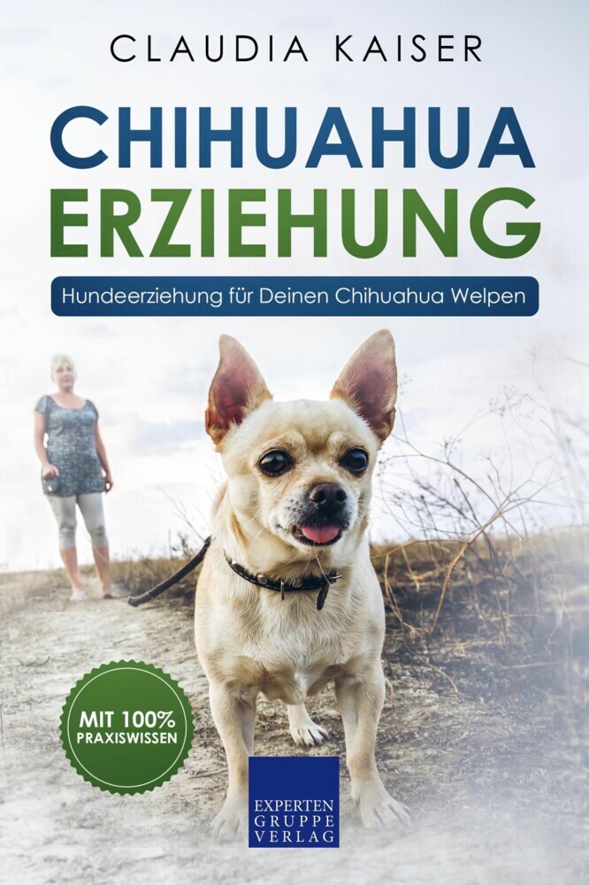 Chihuahua Erziehung main product photo