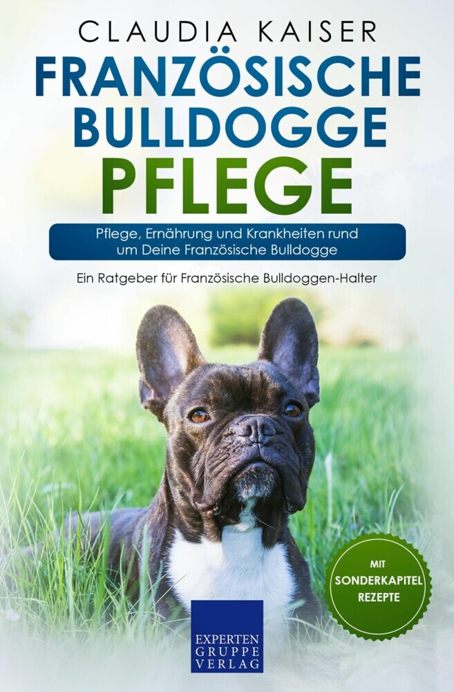 Französische Bulldogge Pflege main product photo