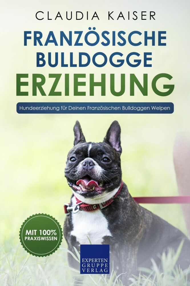 Französische Bulldogge Erziehung main product photo