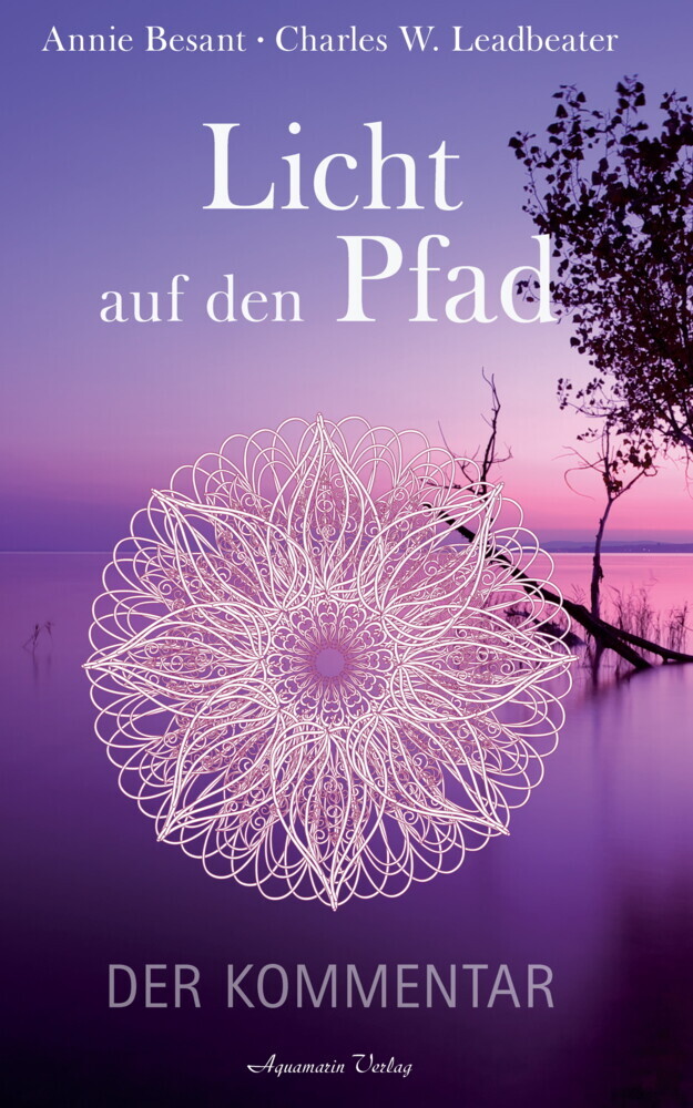 Licht auf den Pfad - Der Kommentar main product photo