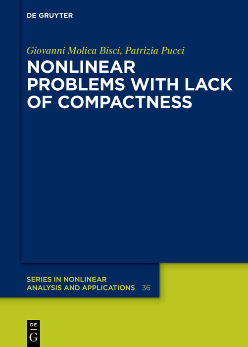 Nonlinear Problems with Lack of Compactness main product photo