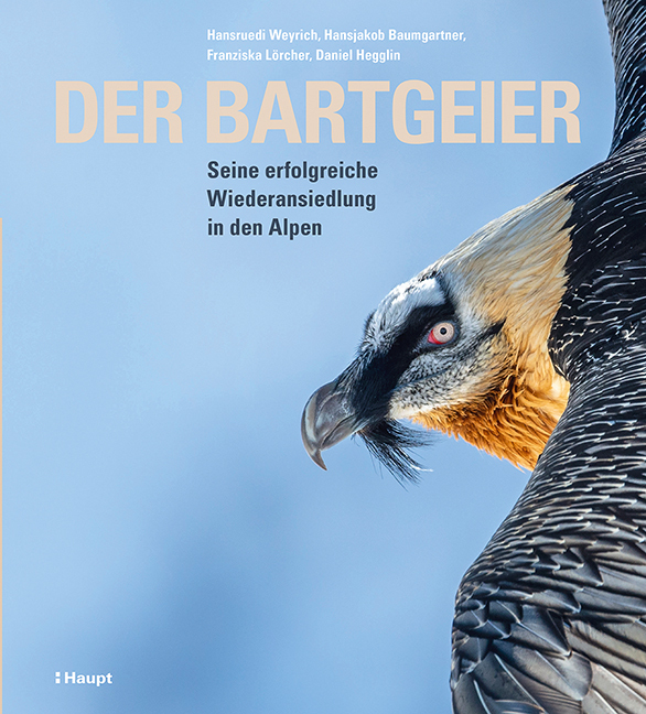 Der Bartgeier main product photo