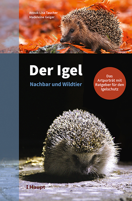 Der Igel - Nachbar und Wildtier main product photo