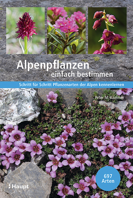 Alpenpflanzen einfach bestimmen main product photo
