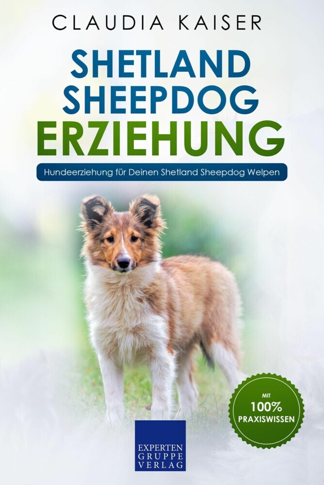 Shetland Sheepdog Erziehung main product photo