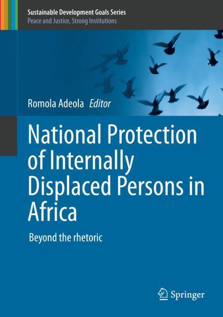 National Protection of Internally Displaced Persons in Africa main product photo