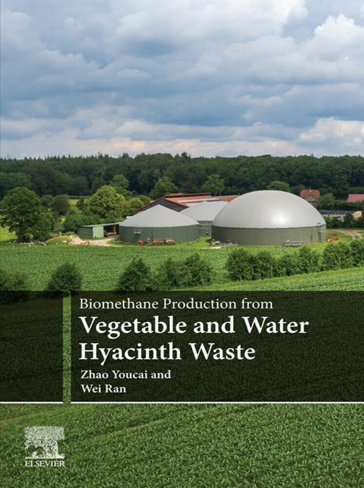 Biomethane Production from Vegetable and Water Hyacinth Waste main product photo
