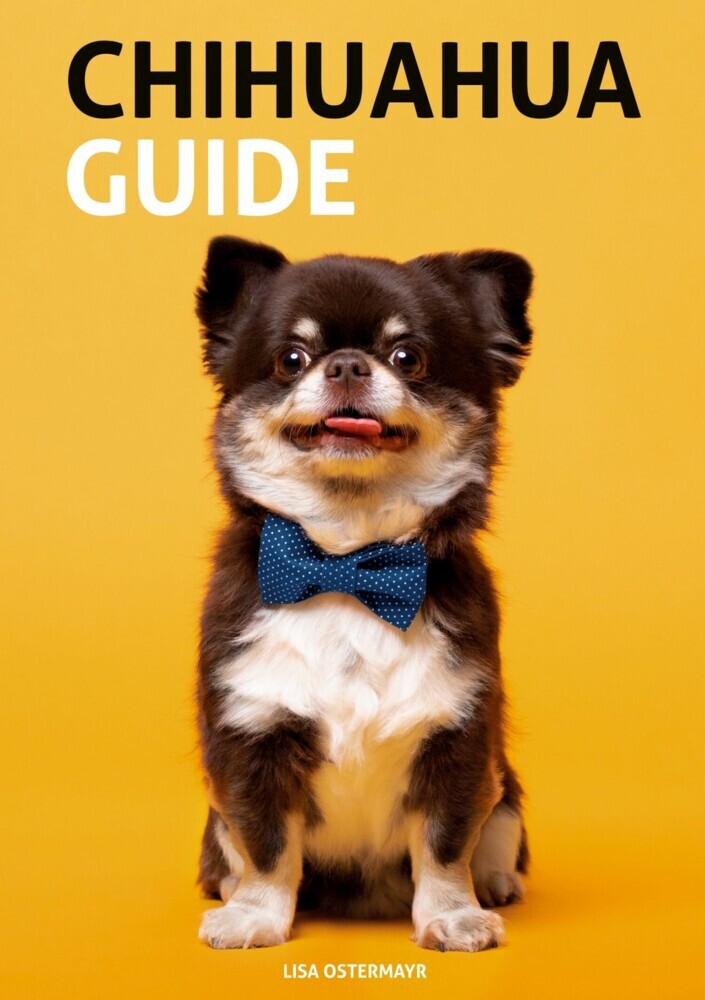 Chihuahua Guide main product photo