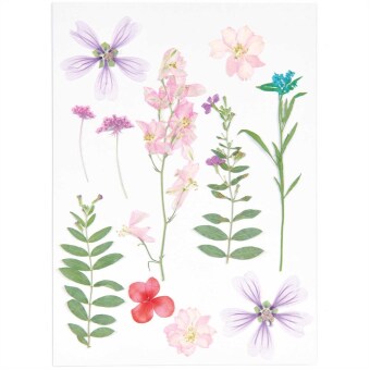 Gepresste Blüten, Mix Set rosa violett, 11 Stk