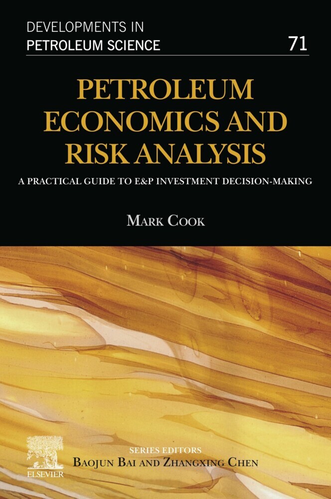 Petroleum Economics and Risk Analysis main product photo