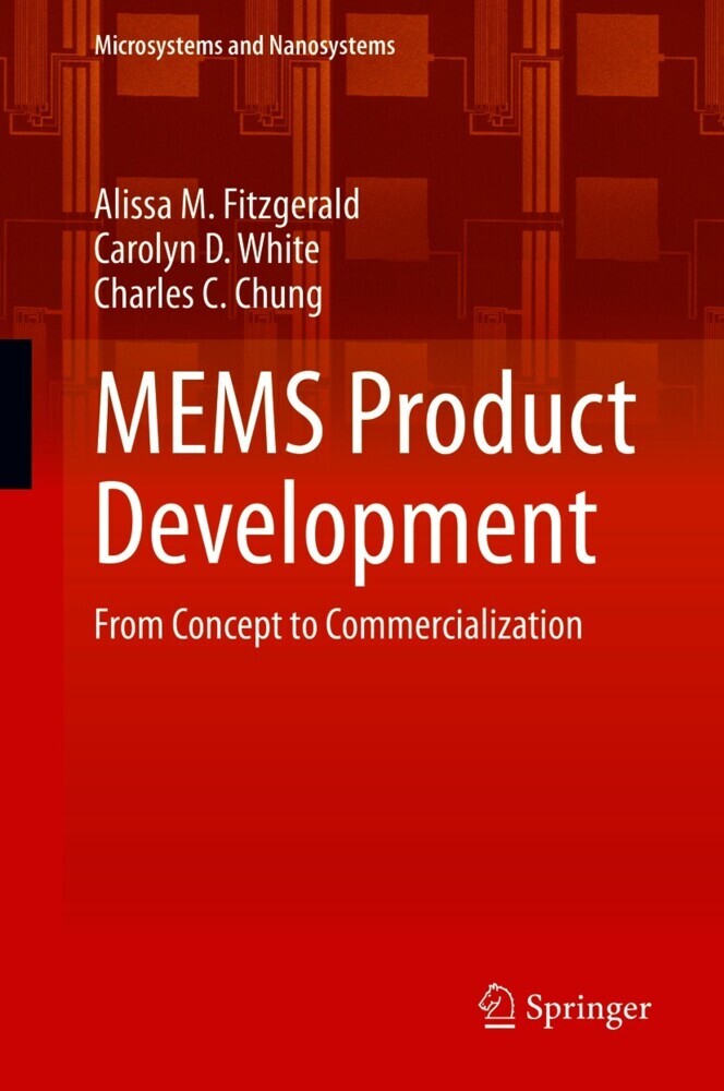MEMS Product Development main product photo