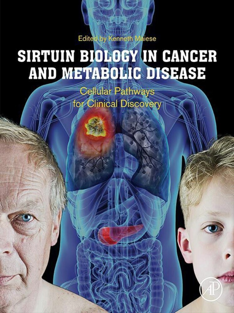 Sirtuin Biology in Cancer and Metabolic Disease main product photo