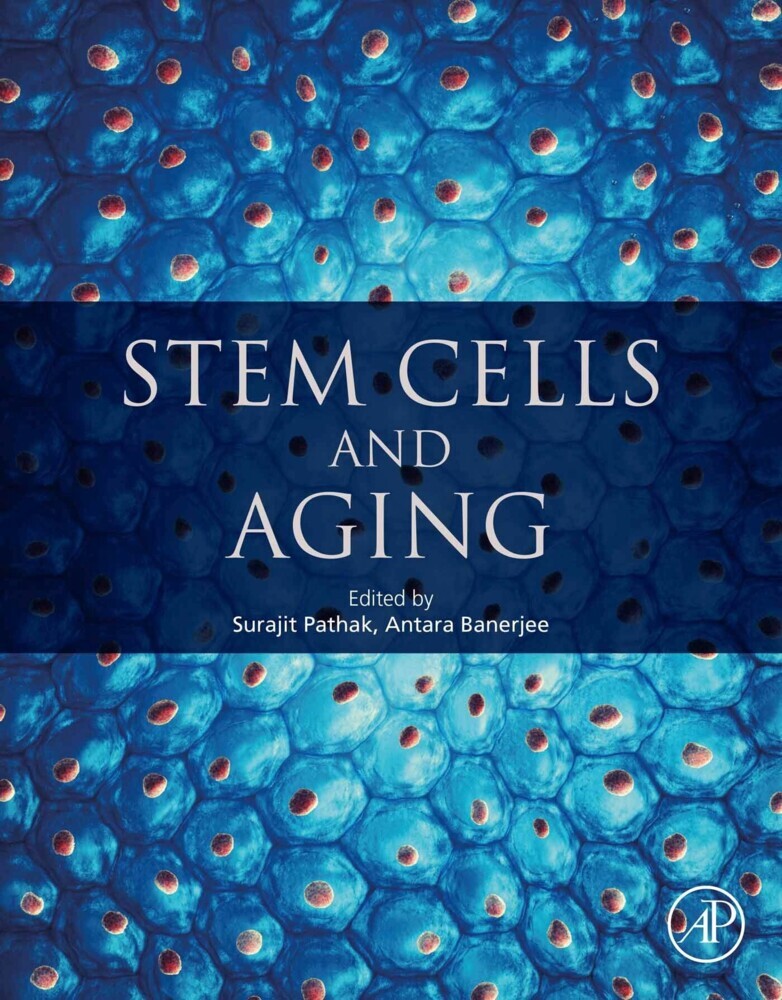 Stem Cells and Aging main product photo