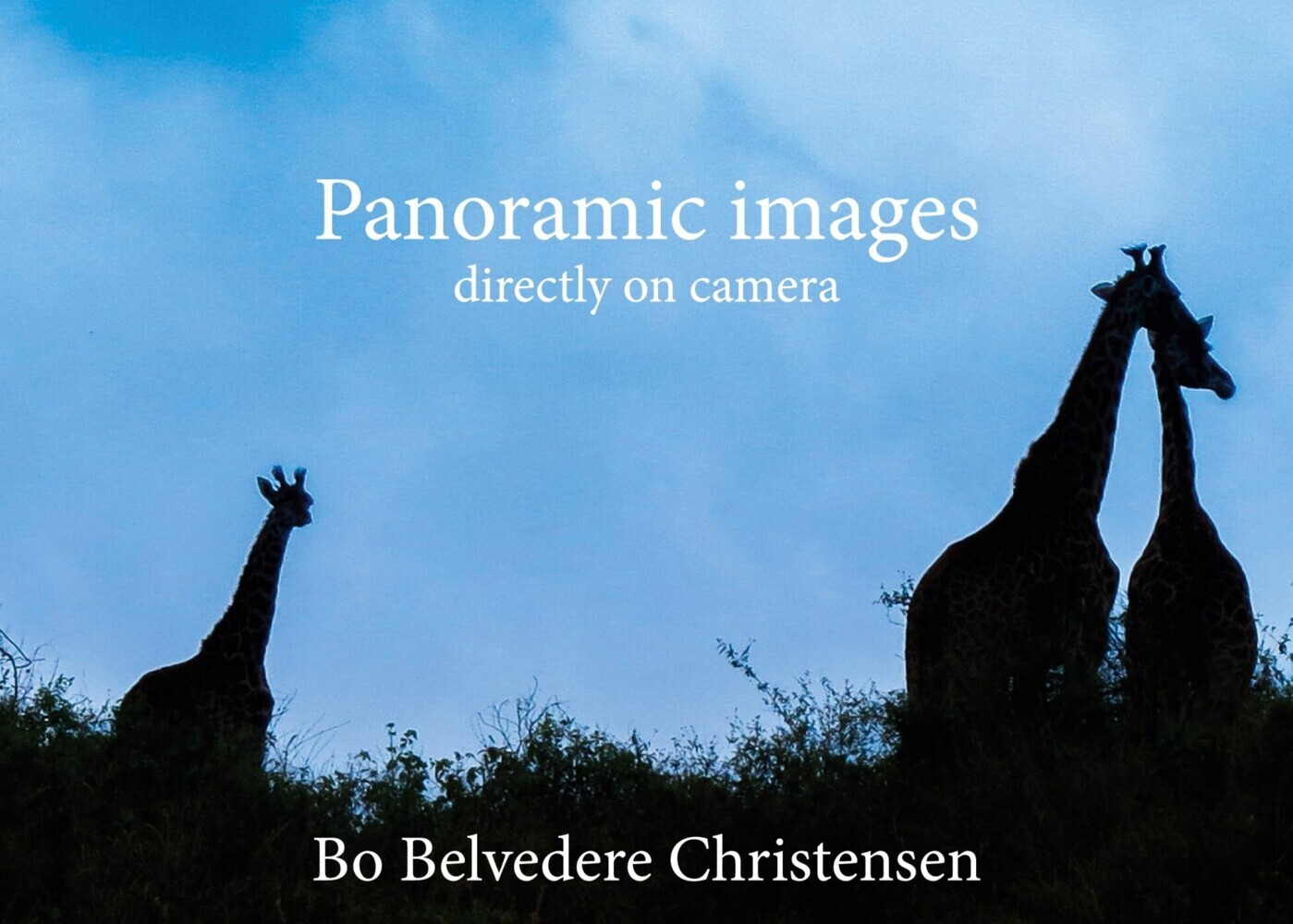 Panoramic images main product photo