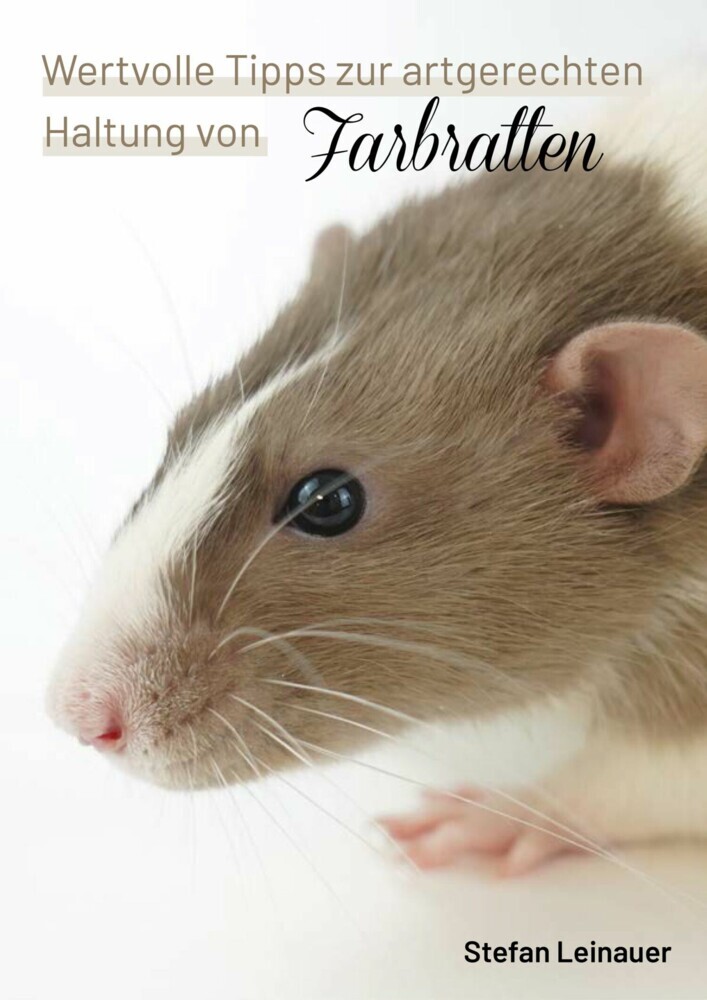 Wertvolle Tipps zur artgerechten Haltung von Farbratten. main product photo