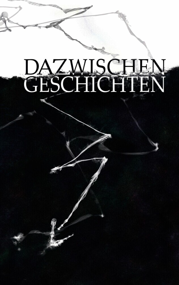 Dazwischengeschichten main product photo