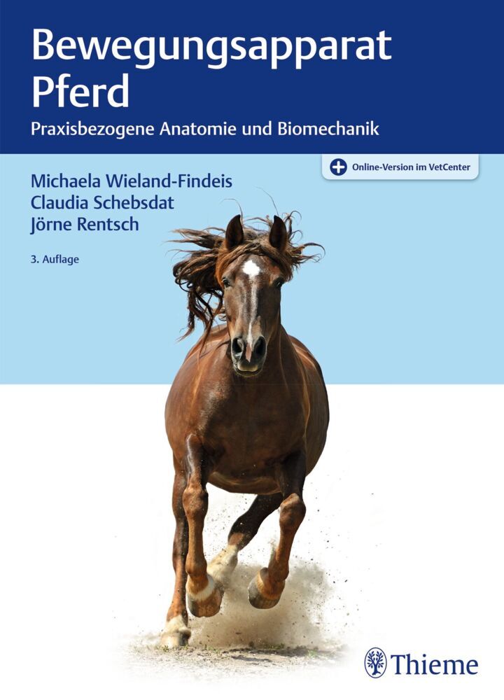 Bewegungsapparat Pferd main product photo