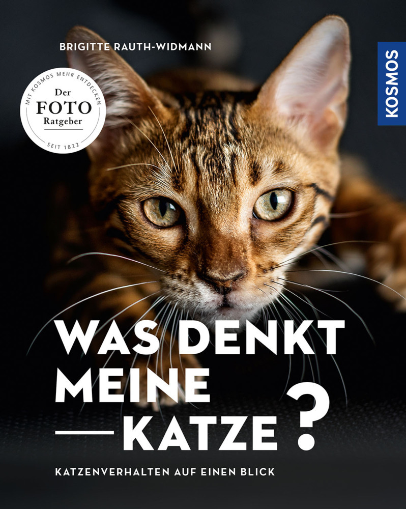 Was denkt meine Katze main product photo
