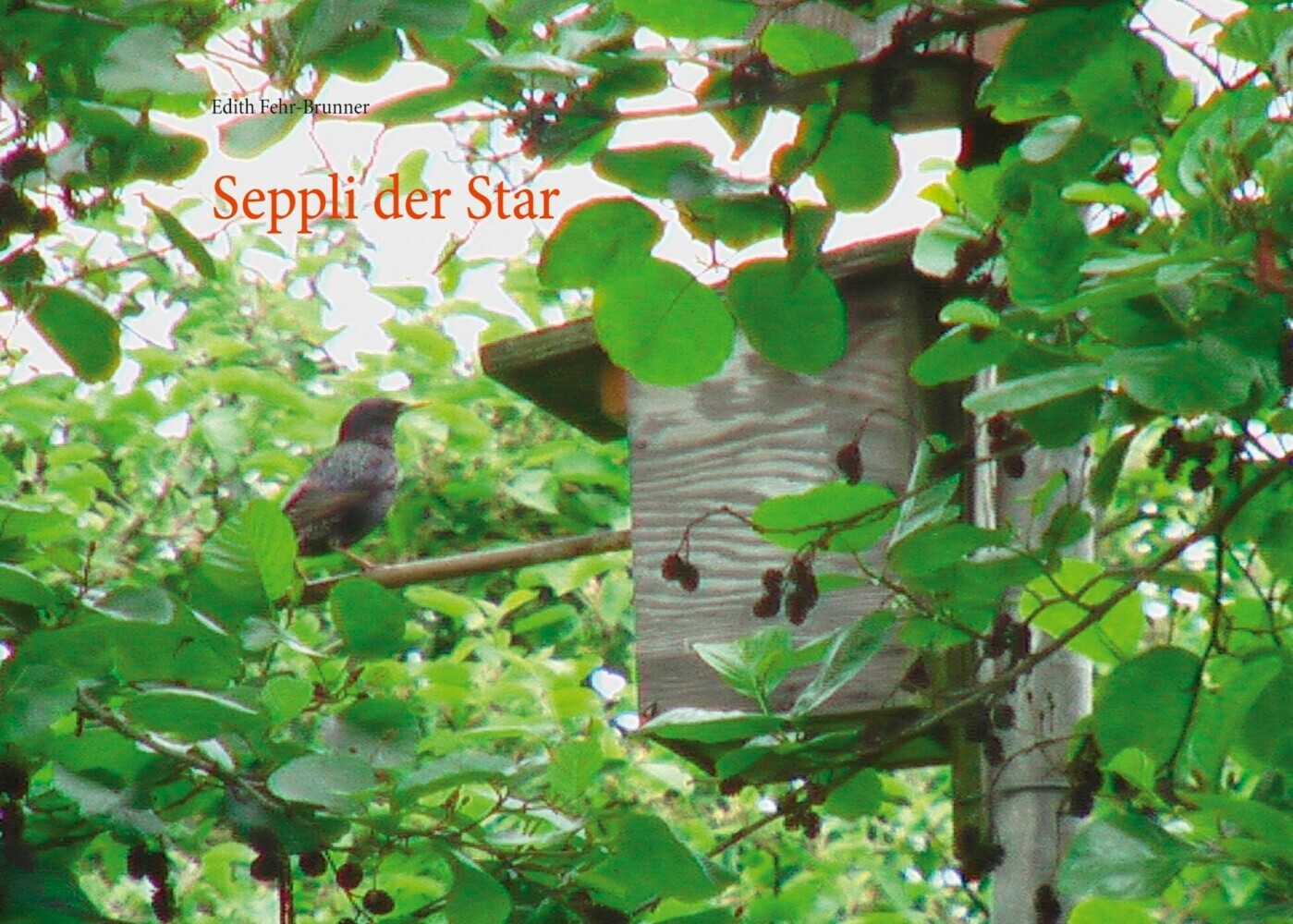 Seppli der Star main product photo