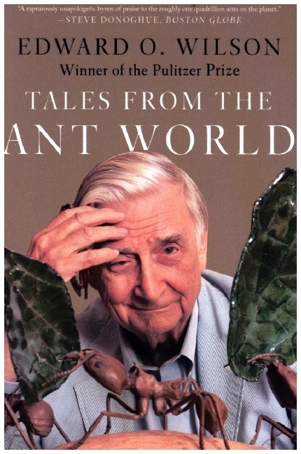 Tales from the Ant World main product photo