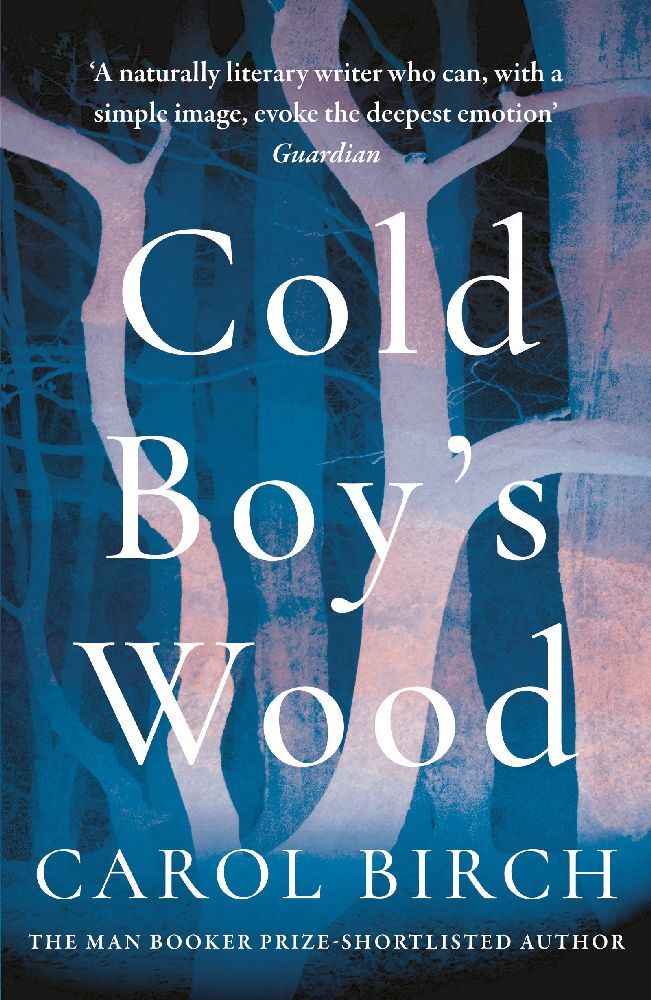 Cold Boy's Wood main product photo