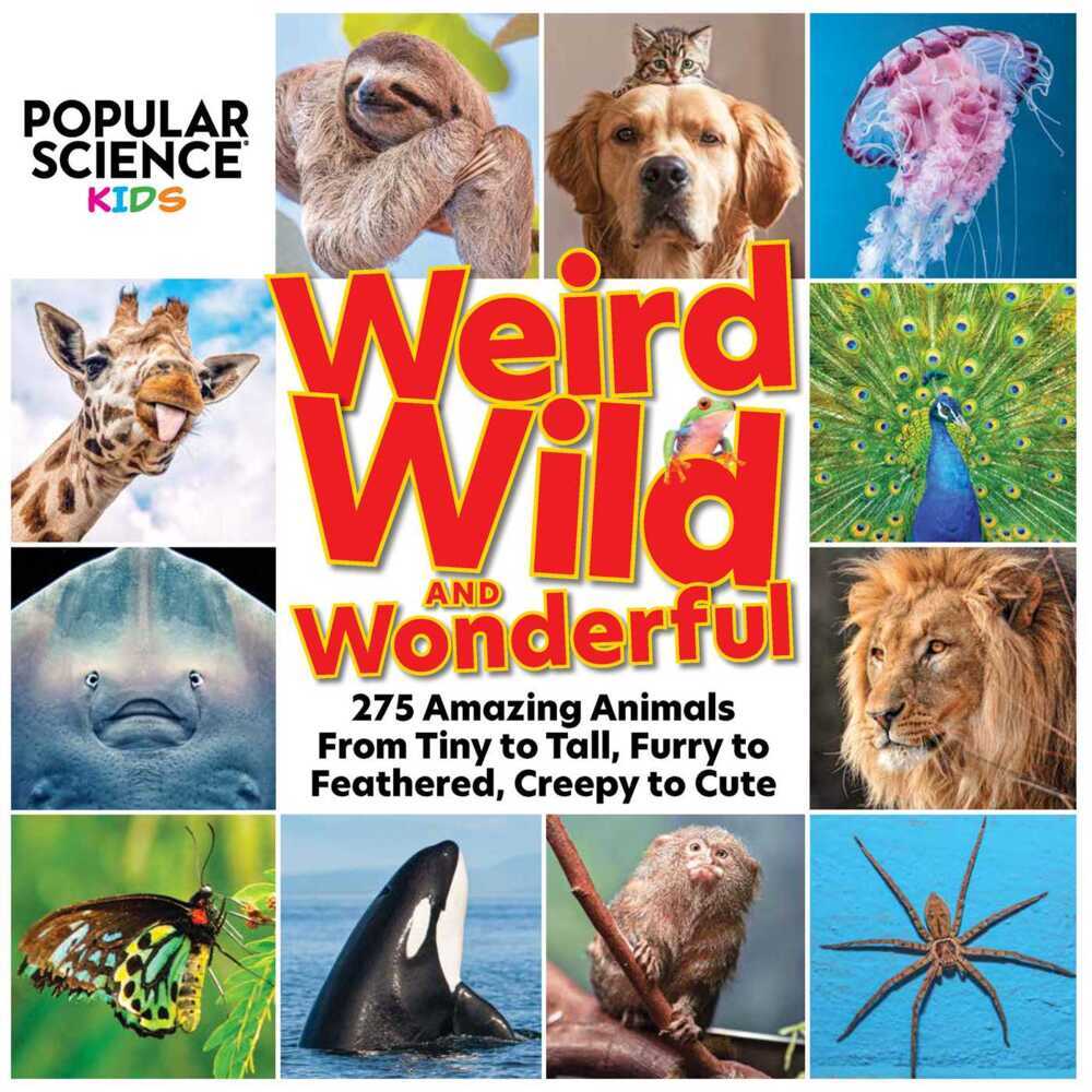 Popular Science Kids: Weird, Wild & Wonderful main product photo