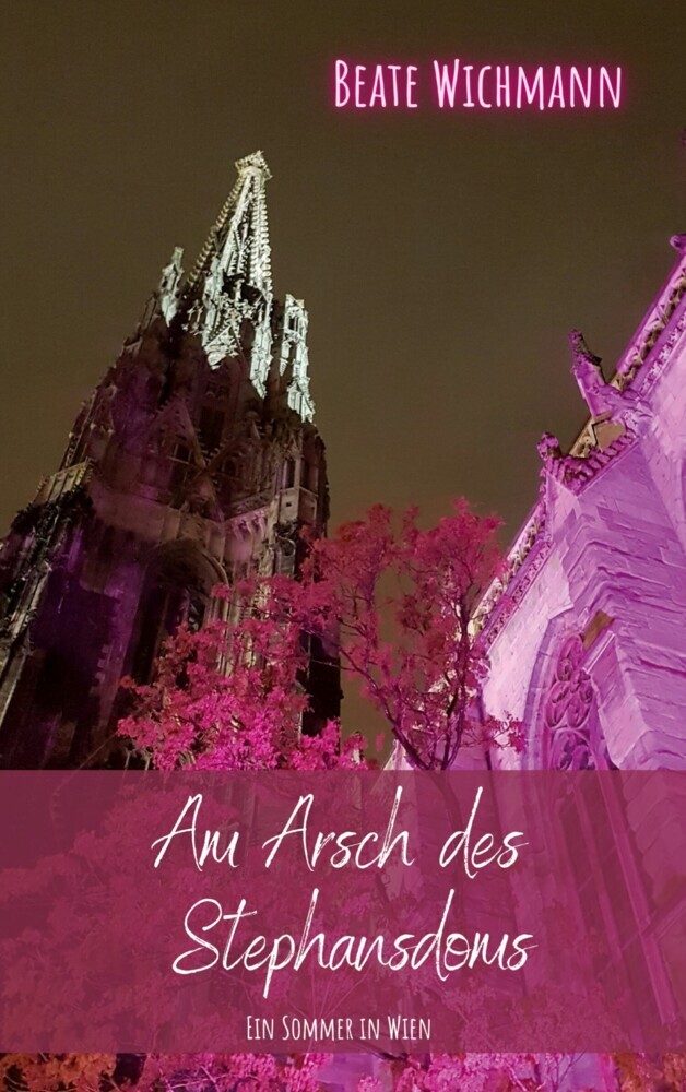 Am Arsch des Stephansdoms main product photo