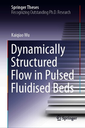 Dynamically Structured Flow in Pulsed Fluidised Beds