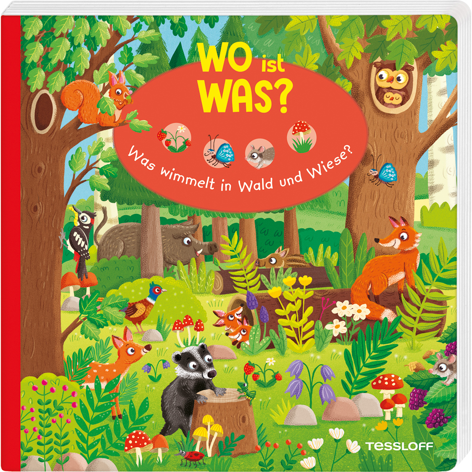 WO ist WAS? Was wimmelt in Wald und Wiese? main product photo