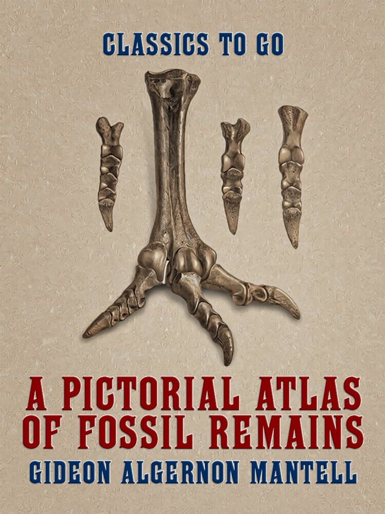 A Pictorial Atlas of Fossil Remains main product photo