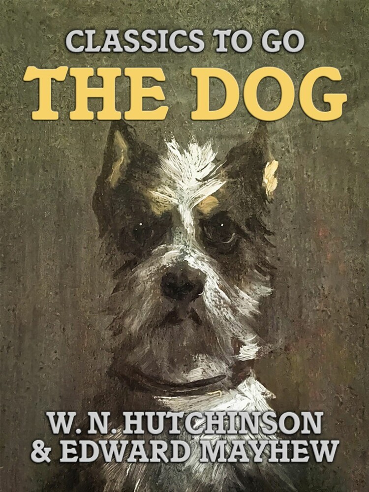 The Dog main product photo