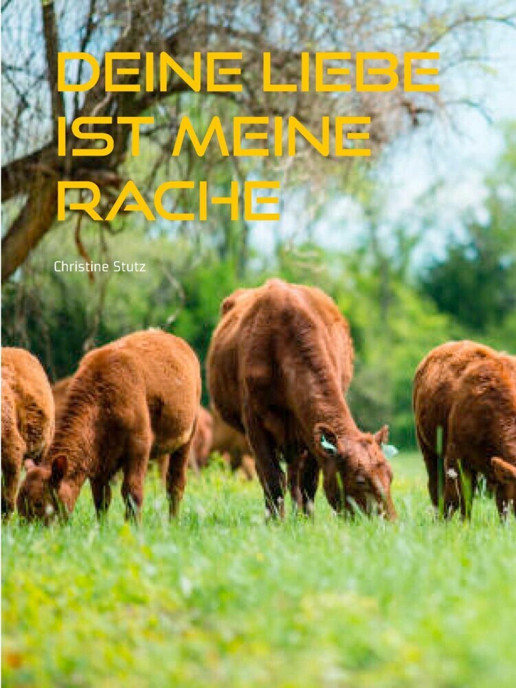 Deine Liebe ist meine Rache main product photo