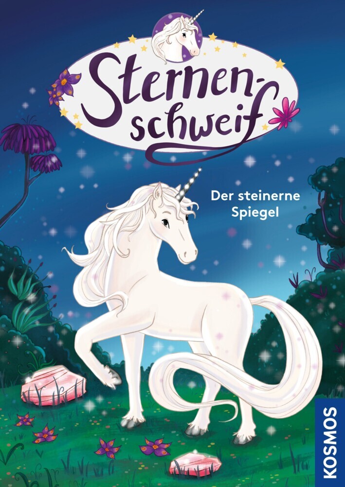 Sternenschweif, Der steinerne Spiegel main product photo