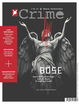 Stern Crime 34/2020 - Böse