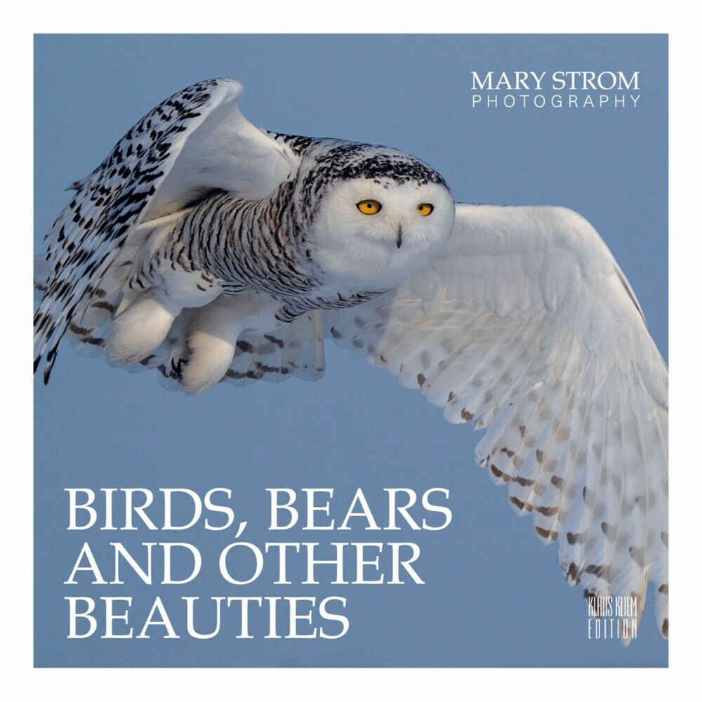 Birds, Bears and other Beauties main product photo