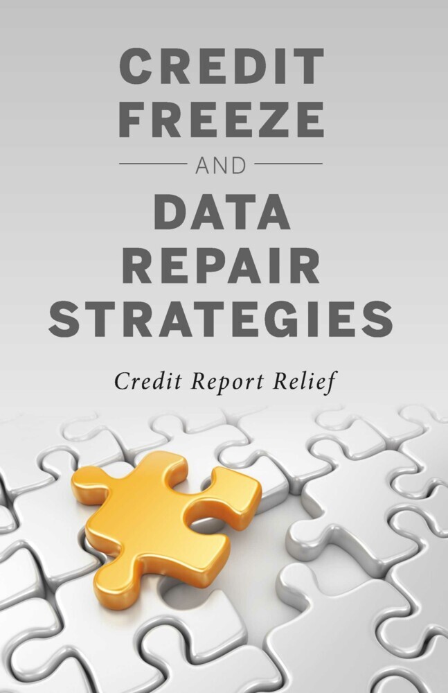 Credit Freeze and Data Repair Strategies main product photo