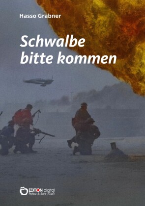 Schwalbe bitte kommen