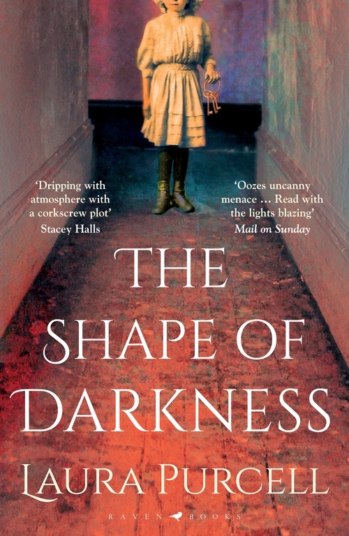 The Shape of Darkness main product photo