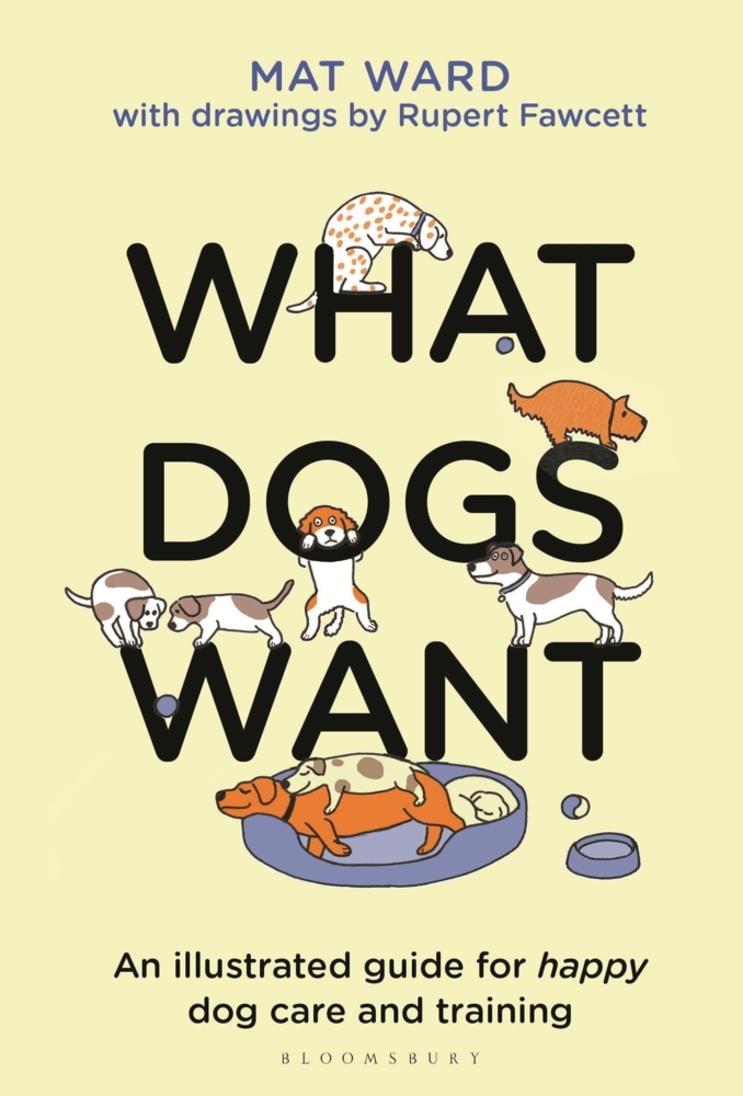 What Dogs Want main product photo