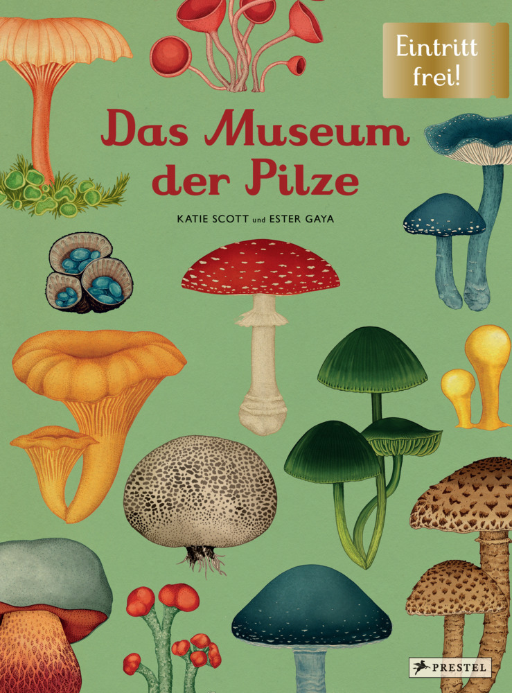 Das Museum der Pilze main product photo