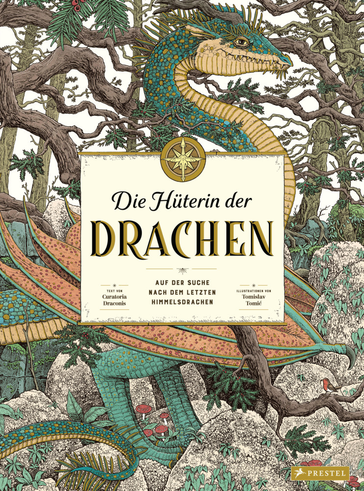 Die Hüterin der Drachen main product photo