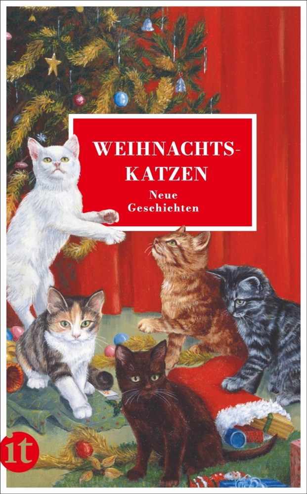Weihnachtskatzen main product photo
