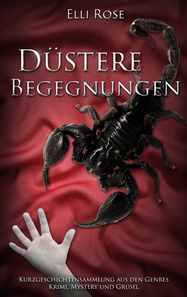 Düstere Begegnungen main product photo