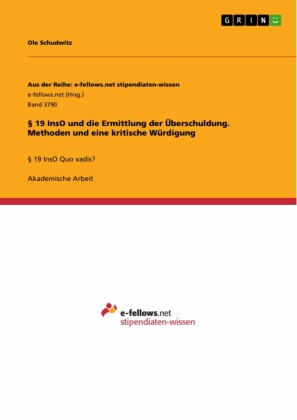 §   19 InsO und die Ermittlung der Überschuldung. Methoden und eine kritische Würdigung